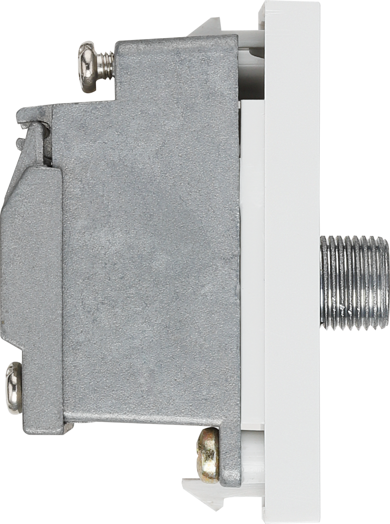 BG Electrical Euro Module - Satellite - female