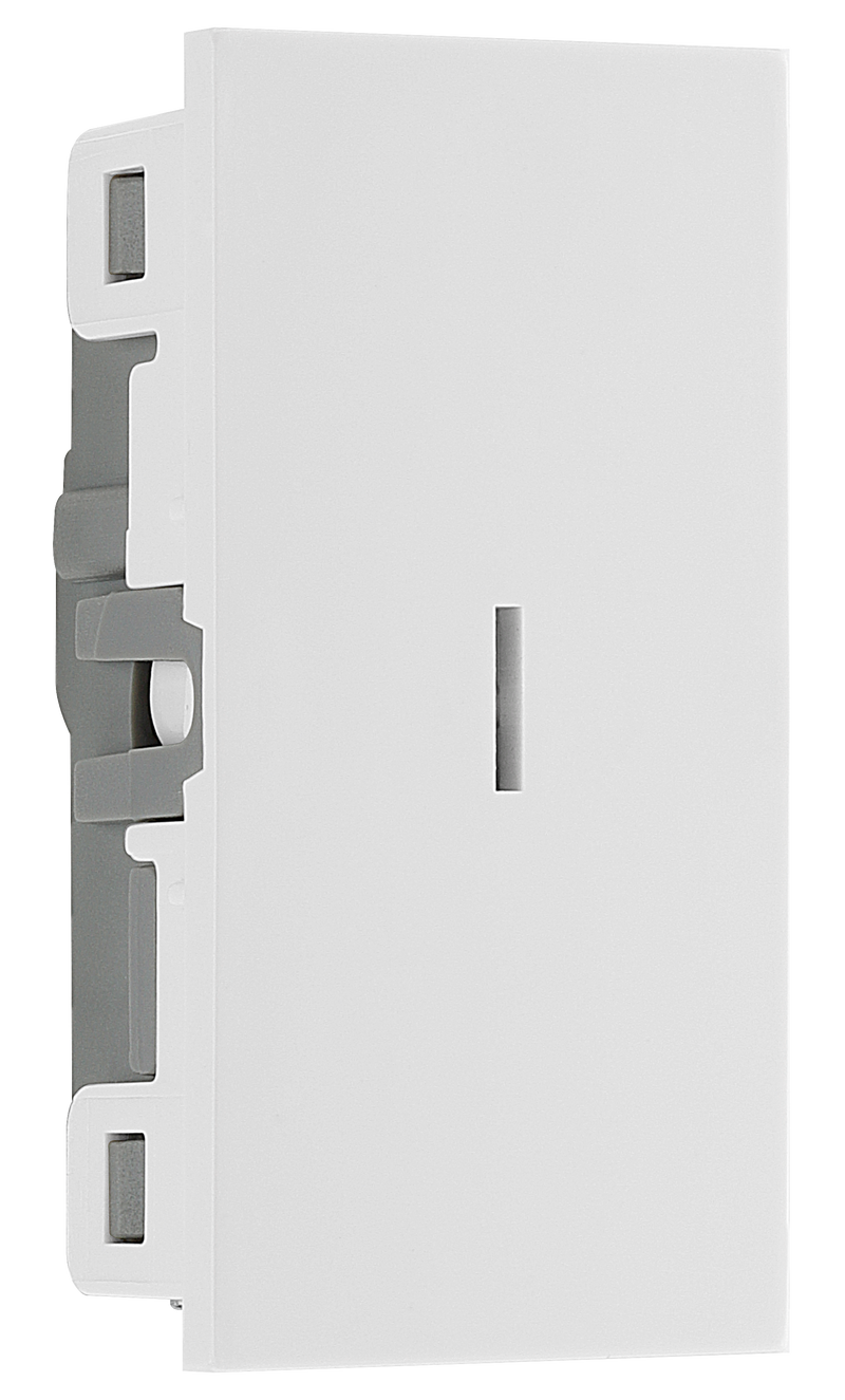 BG Electrical Euro Module - 20 AX 2 way, key switch