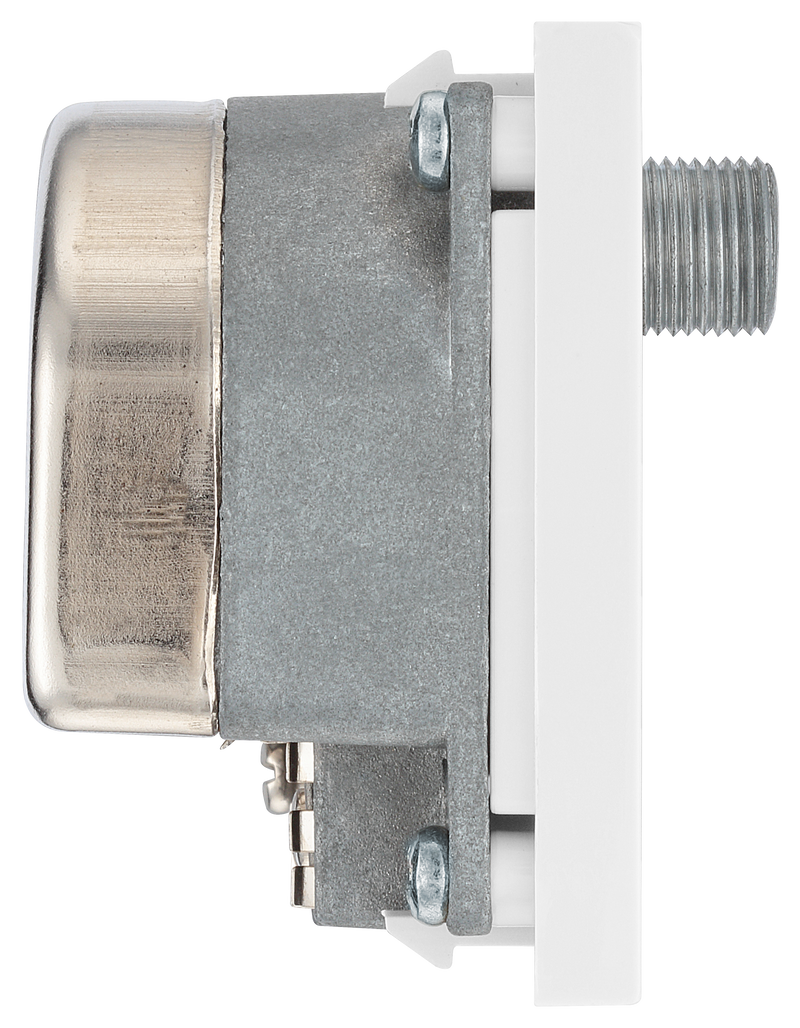BG Electrical Euro Module - TV radio and dual satellite module - TV IEC male, radio IEC female, dual satellite female