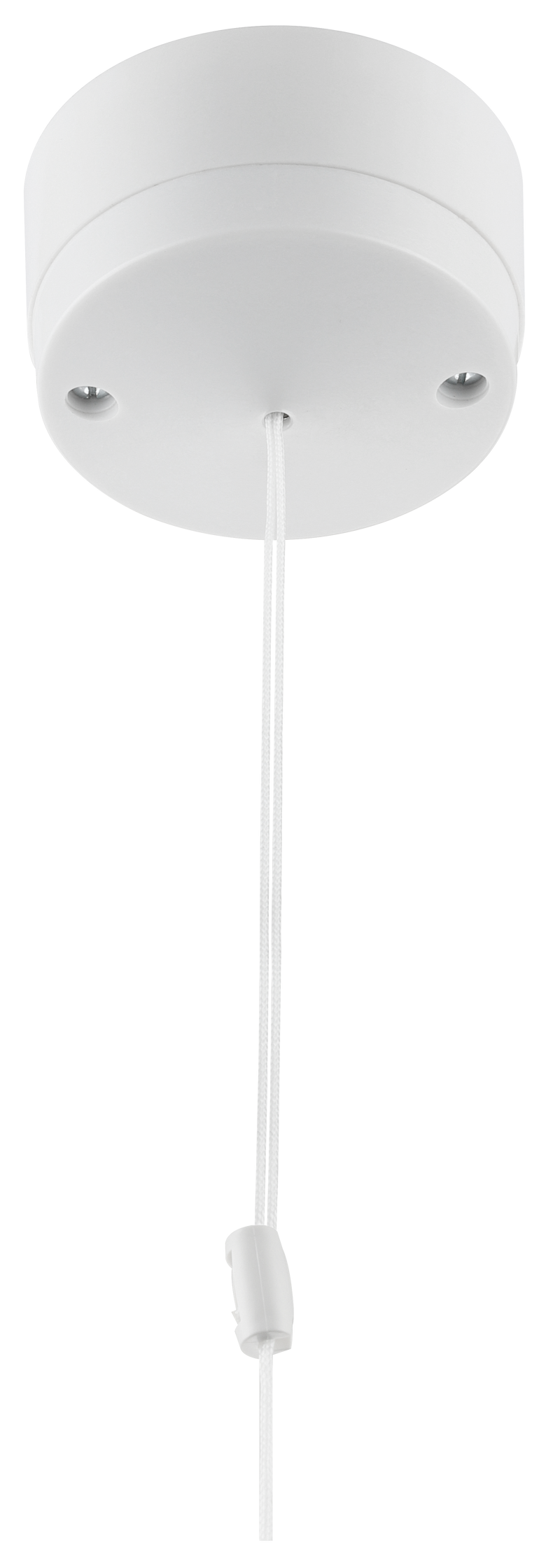 BG Electrical Ceiling Accessories - 6A, 2 way