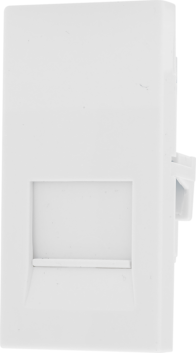 BG Electrical Euro Module - Telephone - BT master (screw)