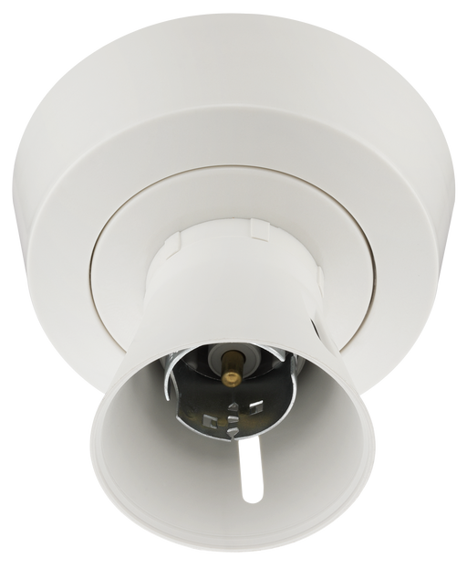 BG Electrical Ceiling Accessories - Enclosed, 2 terminal body, 3 terminals and earth in base, PVC tails, HO skirt