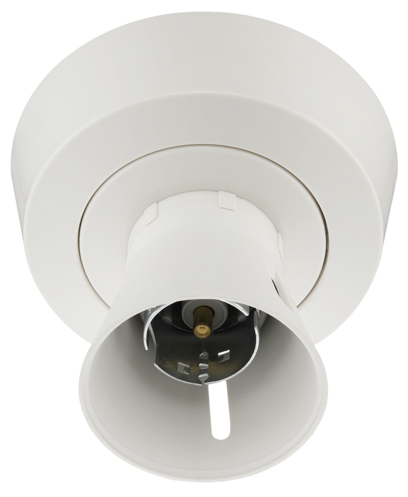 BG Electrical Ceiling Accessories - Enclosed, 2 terminal body, 3 terminals and earth in base, PVC tails, HO skirt