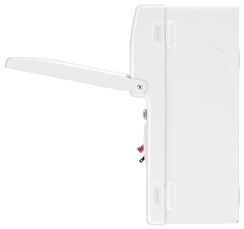 BG Circuit Protection Main Switch SPD - 12 module, 8 way, 100A Main Switch, Type 2 SPD