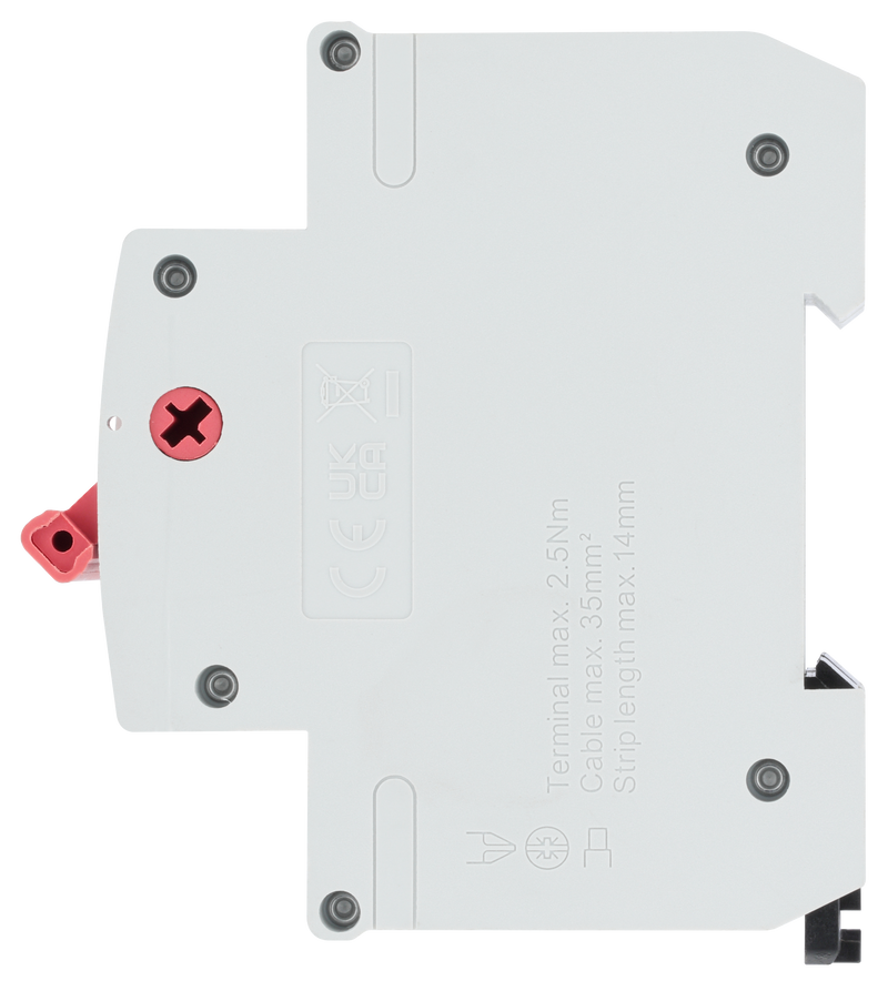 BG Circuit Protection Main Switch Isolator - Double Pole, 100A 2 module