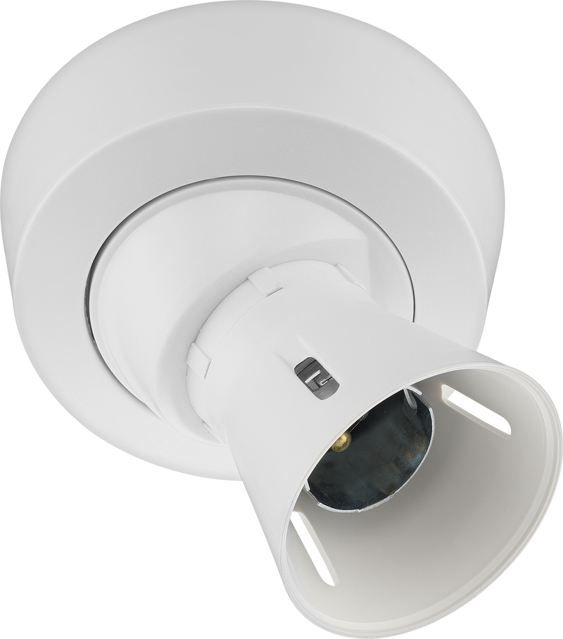 BG Electrical Ceiling Accessories - Enclosed, Angled, 2 terminal body, 3 terminals and earth in base, PVC tails, HO skirt