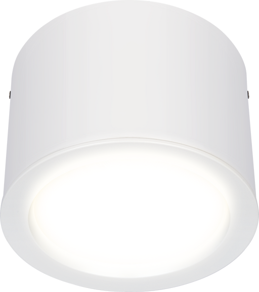 Luceco Platinum Surface downlight matt reflector 218mm 1200 lumen with DALI driver and emergency