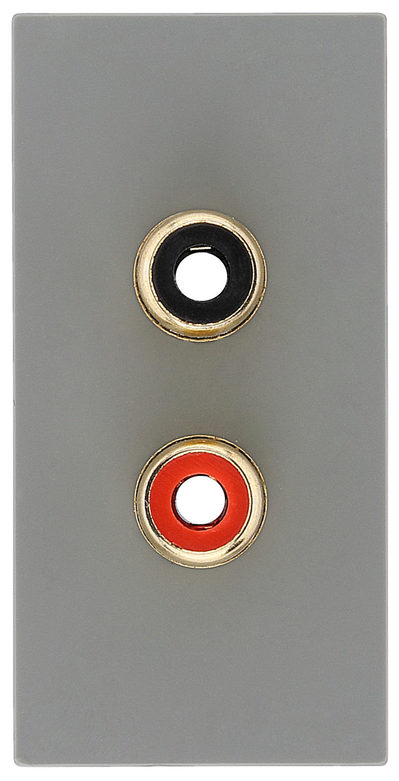 BG Electrical Euro Module - RCA x 2 outlet