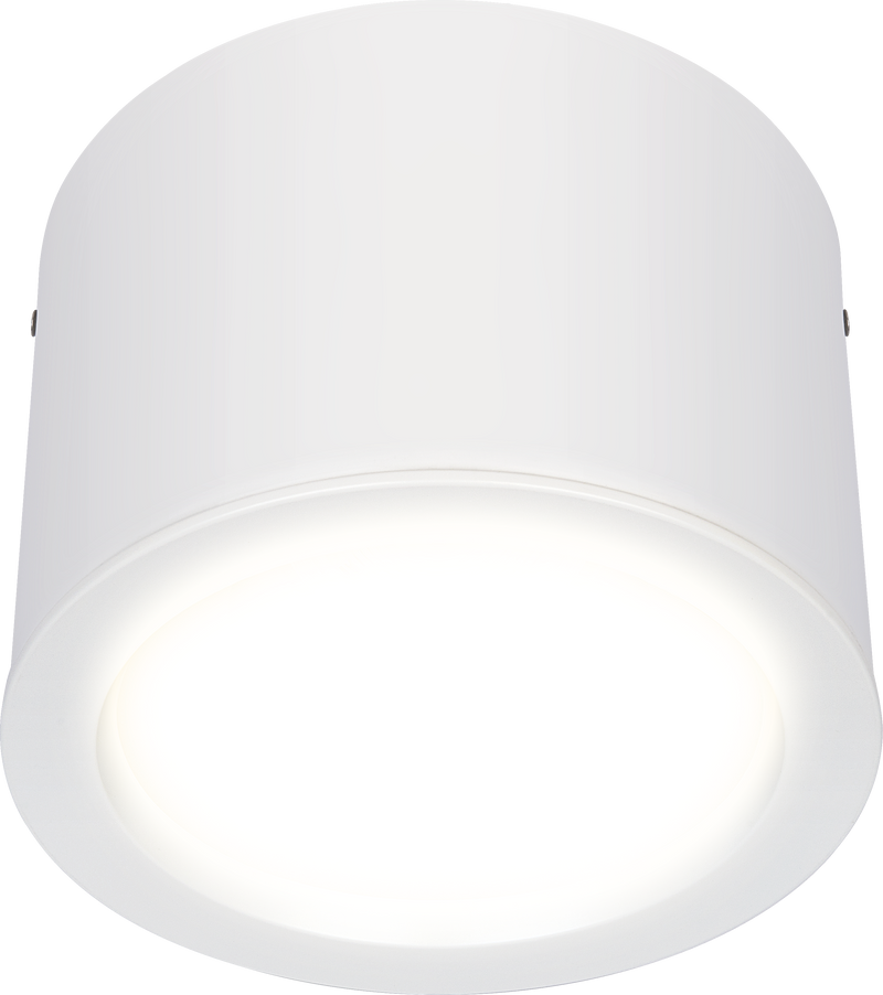 Luceco Platinum Surface - Platinum surface downlight matt reflector 218mm 1200 lumen with DALI driver