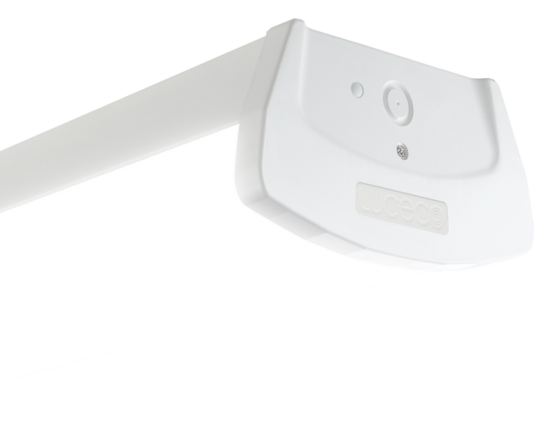 Luceco Academy - Academy 1800mm surface luminaire 8000 lumens with fixed output driver