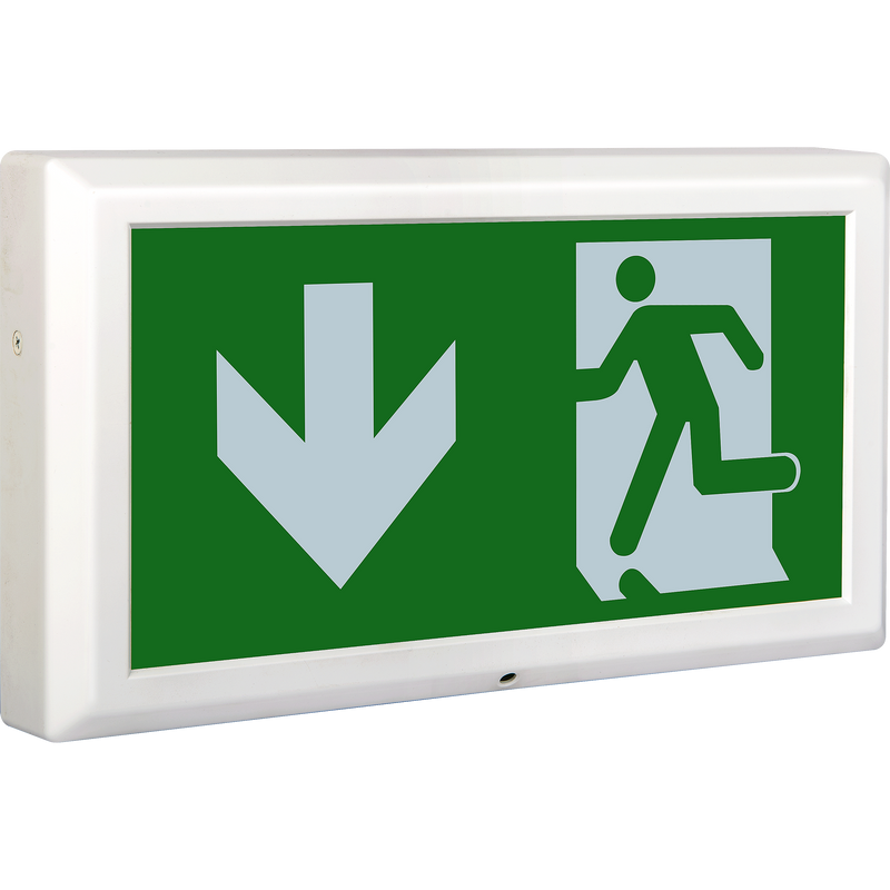 Luceco Exit Box - Tempus Exit Box 3hr Emergency Maintained C/w Down Legend