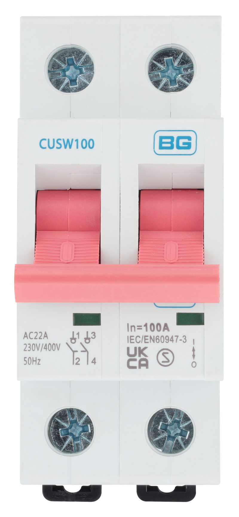 BG Circuit Protection Main Switch Isolator - Double Pole, 100A 2 module