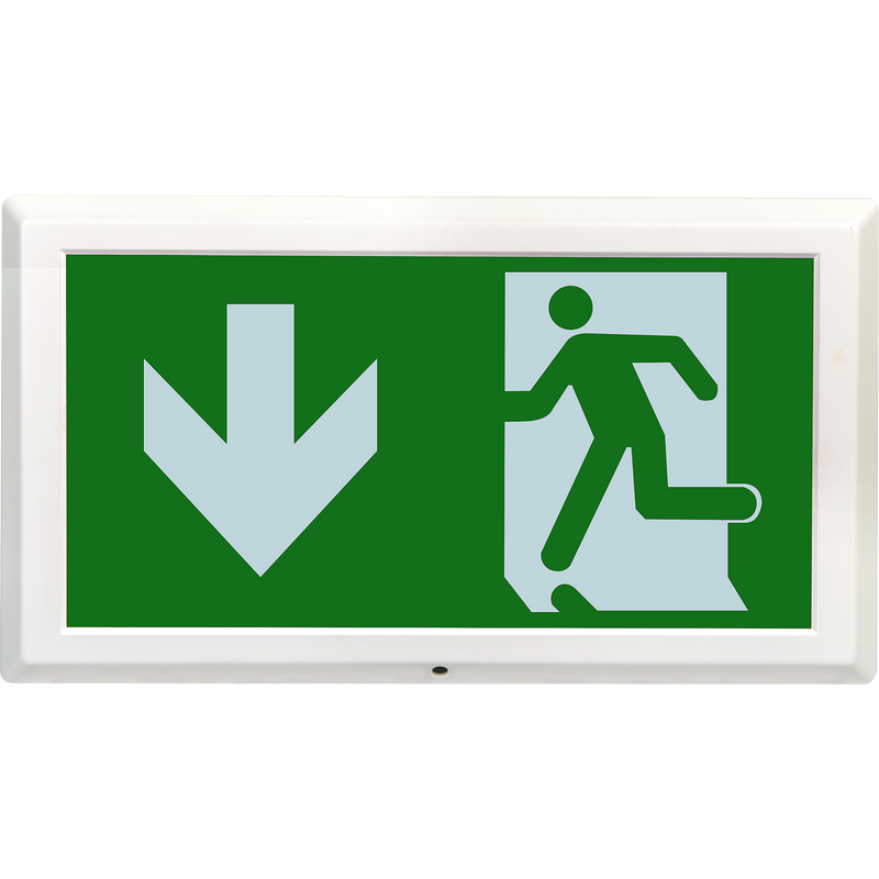 Luceco Exit Box - Tempus Exit Box 3hr Emergency Maintained C/w Down Legend