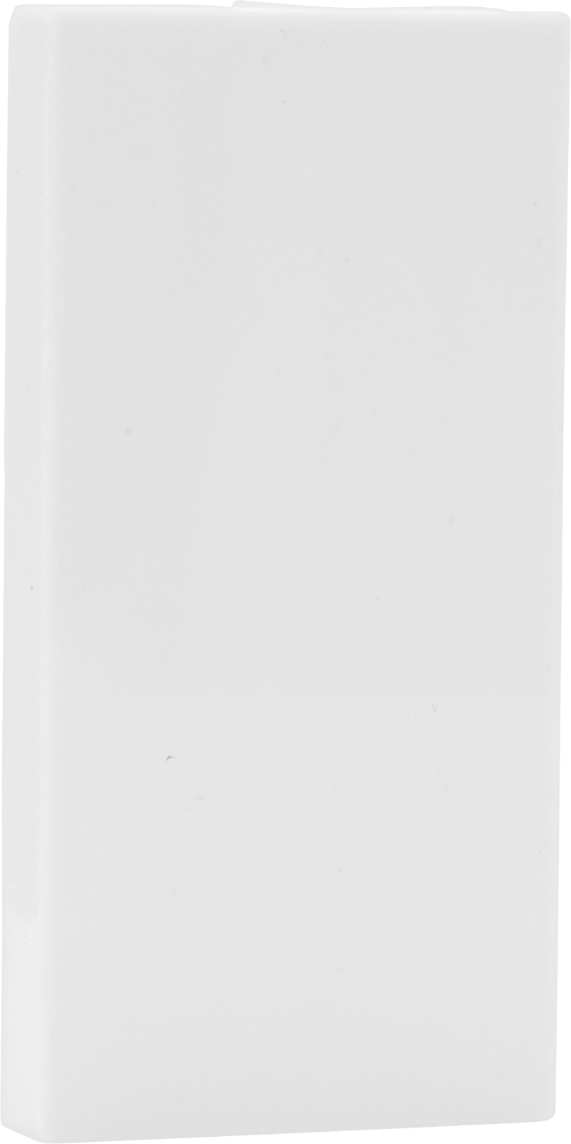 BG Electrical Euro Module - Blank (1pc)