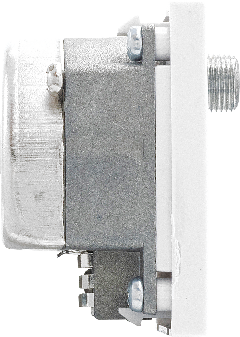 BG Electrical Euro Module - TV radio and satellite - TV IEC male, radio IEC female, satellite female
