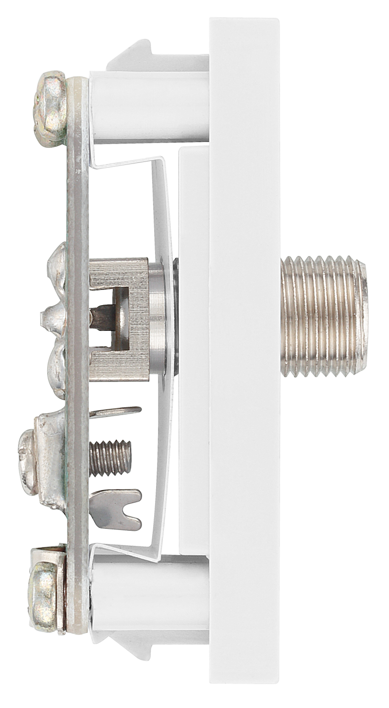 BG Electrical Euro Module - Satellite connection - female