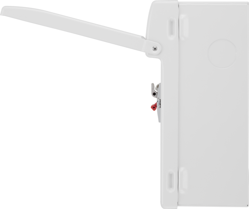 BG Circuit Protection Fuse Switch - 4 module, 100A Main Switch