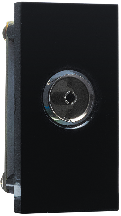 BG Electrical Euro Module - Co-Axial (isolated) connection