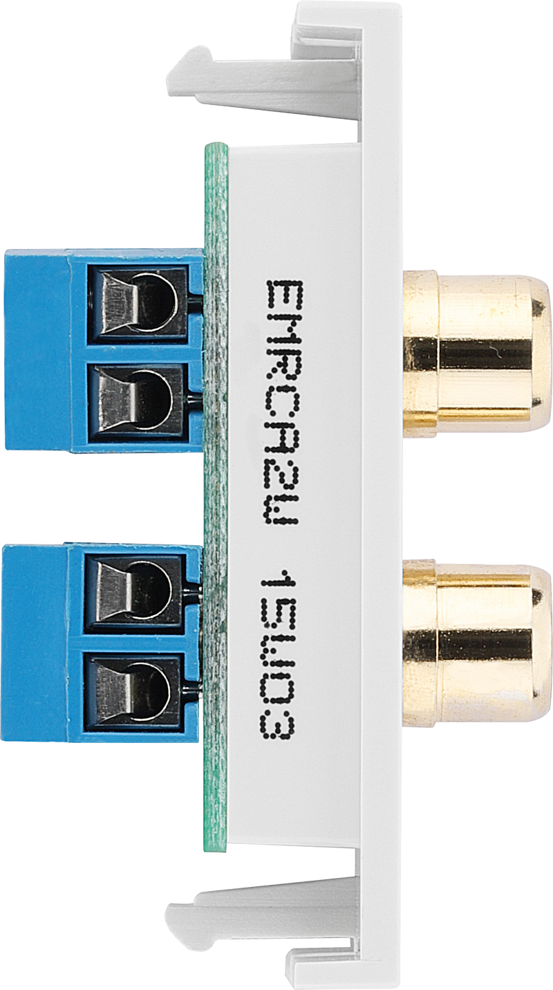 BG Electrical Euro Module - RCA x 2 outlet