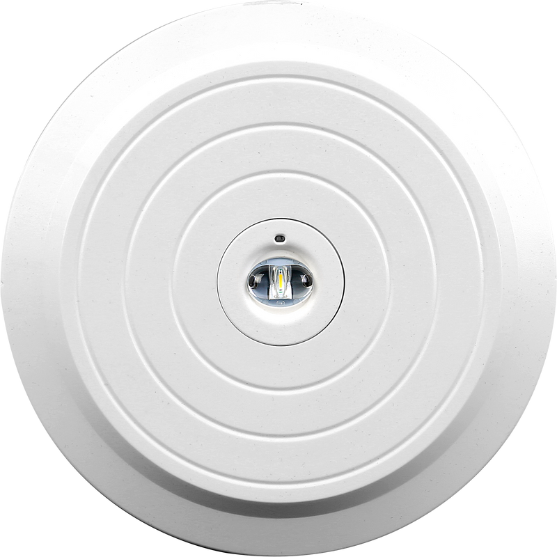 Luceco Standard Recessed - Tempus emergency downlight surface 120 lumens with corridor optic