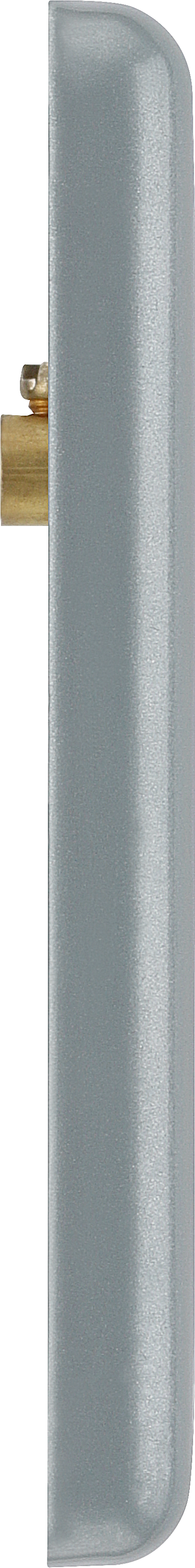 BG Electrical Metal Clad - Double, blank plate