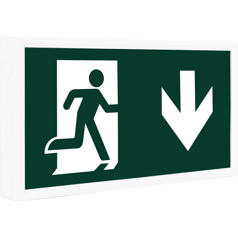 Luceco Tempus Dual - Tempus Dual Maintained Exit Box, 3hr, 1600mAh, 6500K
