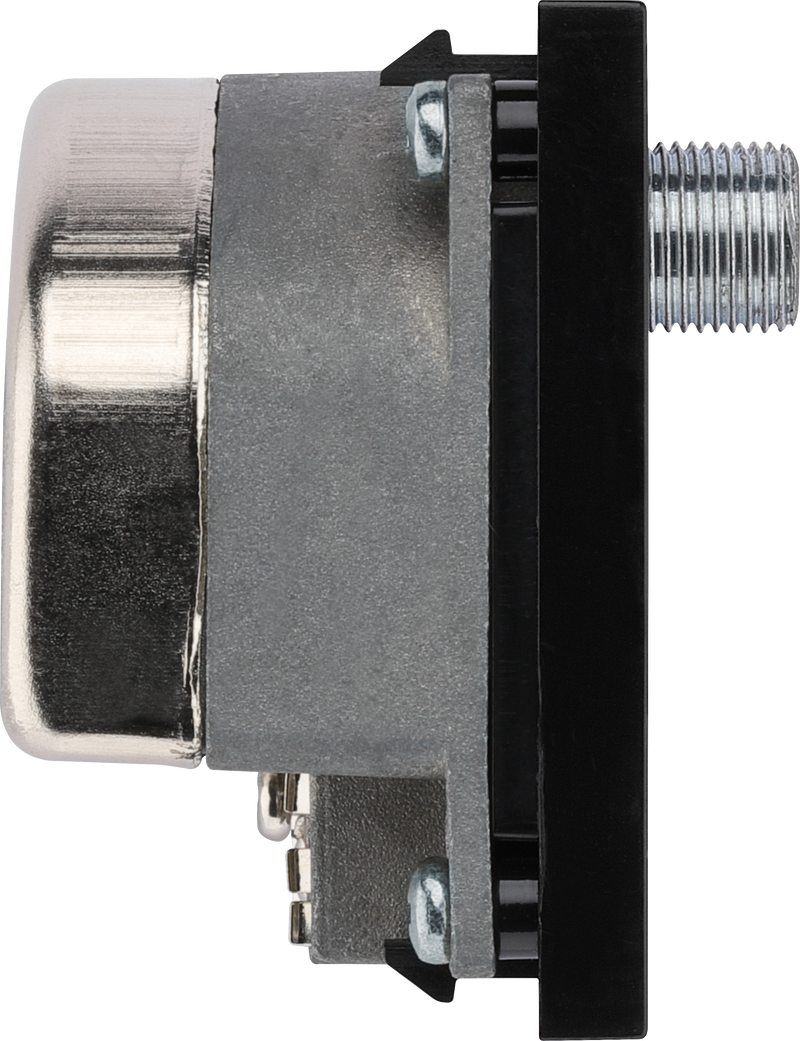 BG Electrical Euro Module - TV radio and dual satellite module - TV IEC male, radio IEC female, dual satellite female
