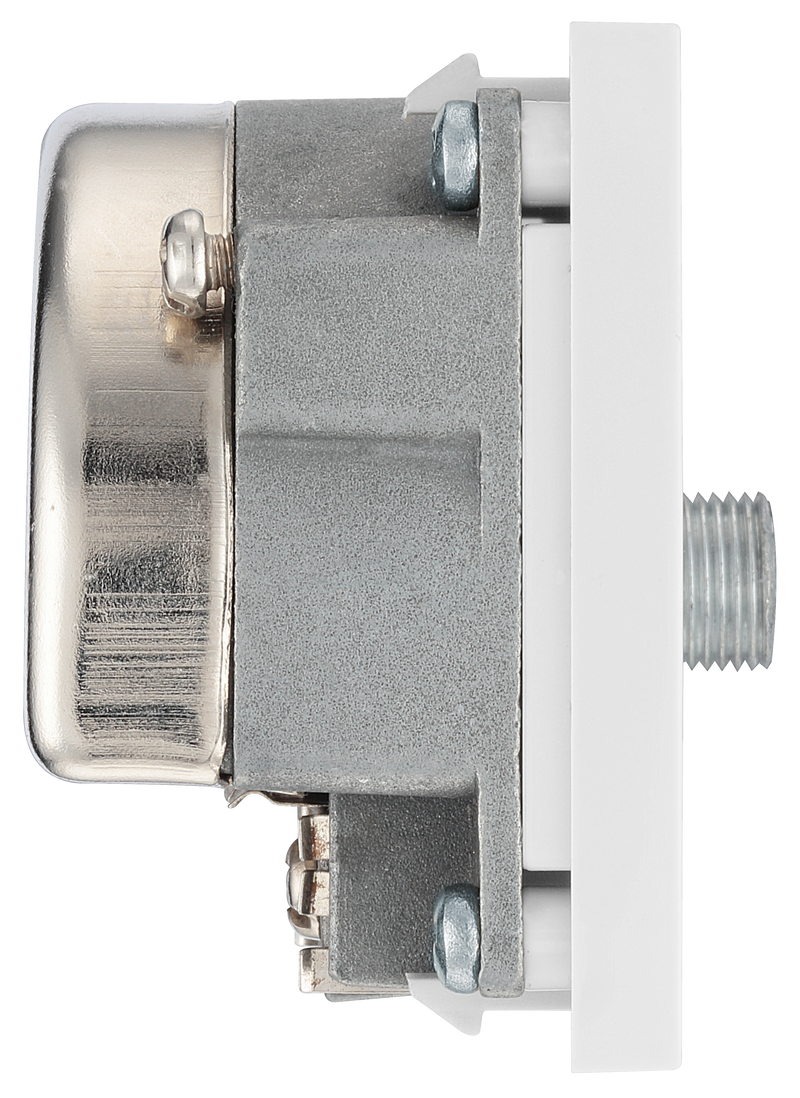 BG Electrical Euro Module - TV and satellite - IEC male radio IEC female