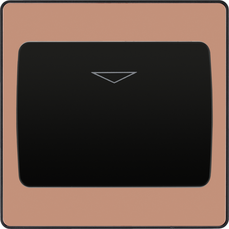 BG Electrical Evolve Polished Copper - Hotel key card switch