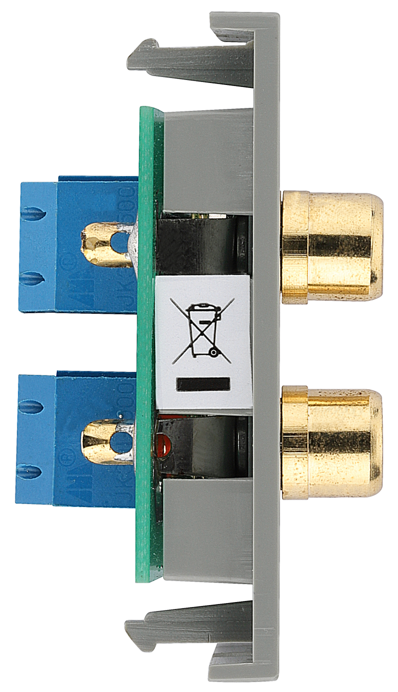 BG Electrical Euro Module - RCA x 2 outlet