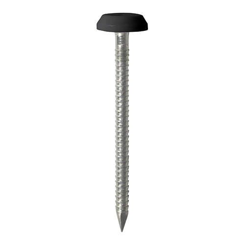 TIMCO Polymer Headed Nails A4 Stainless Steel White - 40mm