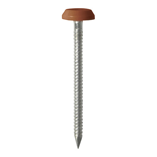 TIMCO Polymer Headed Nails A4 Stainless Steel White - 40mm