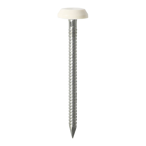 TIMCO Polymer Headed Nails A4 Stainless Steel — Box