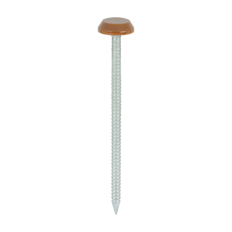 TIMCO Polymer Headed Nails A4 Stainless Steel — Box