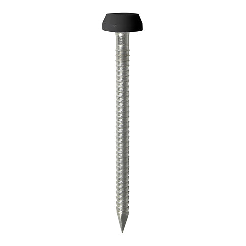 TIMCO Polymer Headed Pins A4 Stainless Steel Beige - 25mm