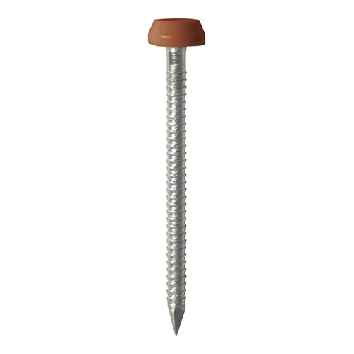TIMCO Polymer Headed Pins A4 Stainless Steel Beige - 25mm