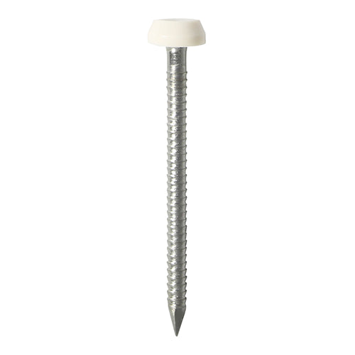 TIMCO Polymer Headed Pins A4 Stainless Steel — Trade Pack