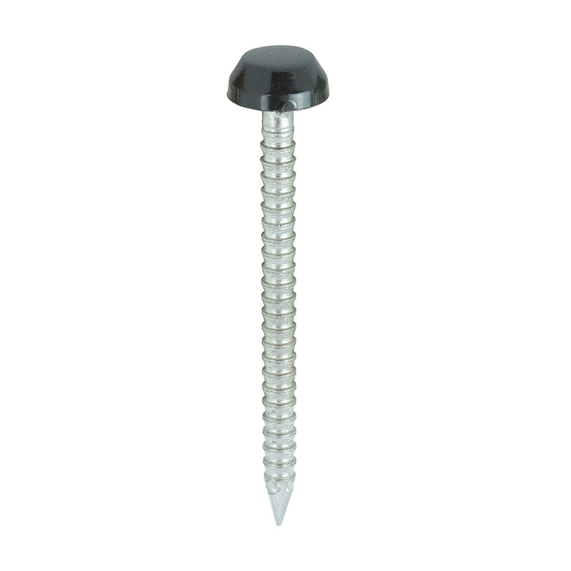 TIMCO Polymer Headed Pins A4 Stainless Steel Beige - 25mm