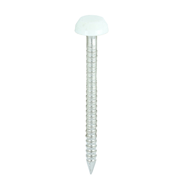 TIMCO Polymer Headed — Box