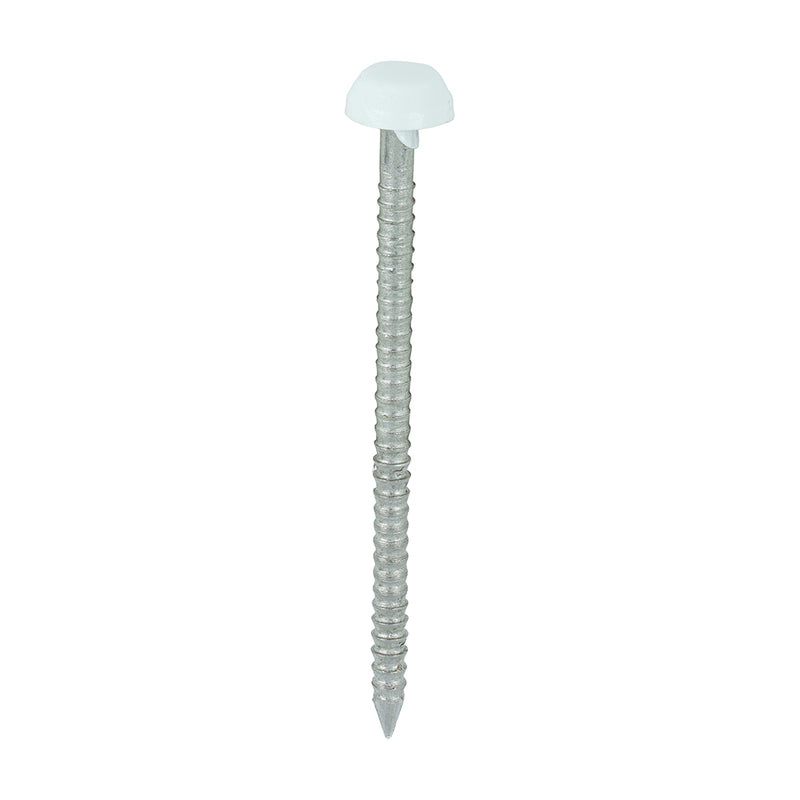 TIMCO Polymer Headed — Box