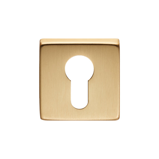 Escutcheon - Euro Profile On Concealed Fix Square Rose Osa (Satin Brass) - Satin Brass