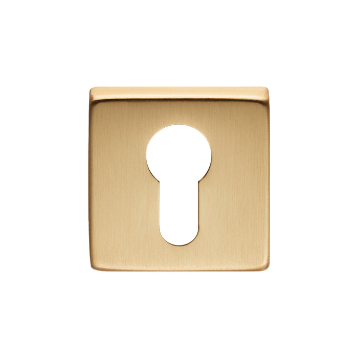 Escutcheon - Euro Profile On Concealed Fix Square Rose Osa (Satin Brass) - Satin Brass