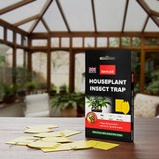 Rentokil Houseplant Insect Trap (10 sticky traps)