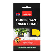 Rentokil Houseplant Insect Trap (10 sticky traps)