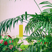Rentokil Insect Traps XL (Contains 7 Sticky Traps)