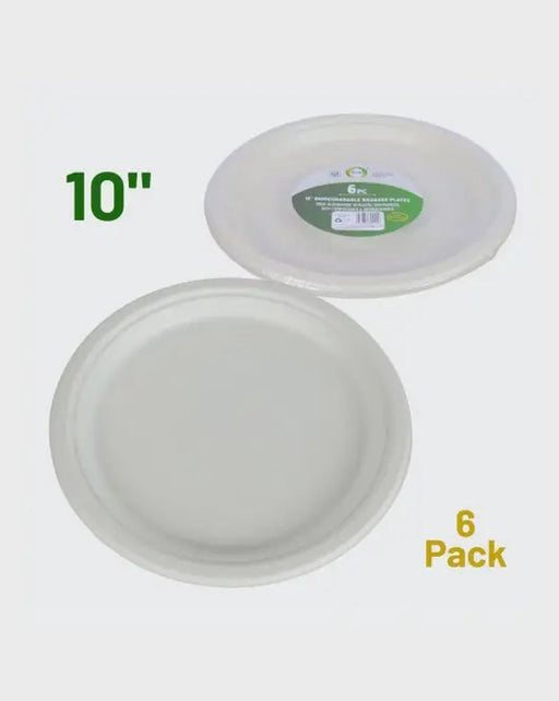 6pc 10" biodegradable Bagasse Plates