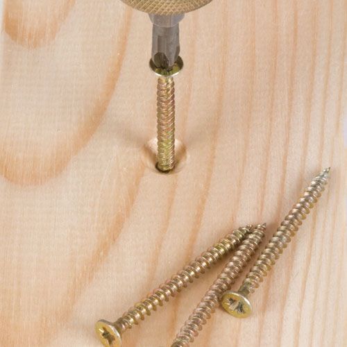 SNAP/PZ/4 - Trend Snappy Pozi No 4 50mm 2 pack