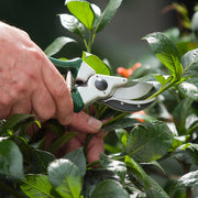 Spear & Jackson 6659KEW Kew Gardens Collection Heavy Duty Bypass Secateurs