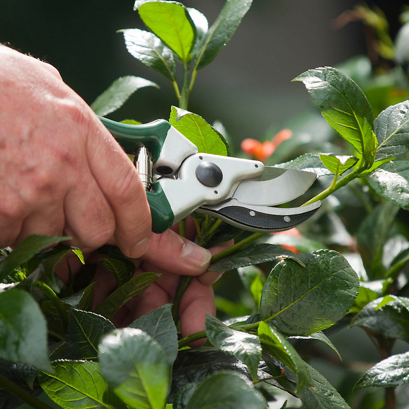 Spear & Jackson 6659KEW Kew Gardens Collection Heavy Duty Bypass Secateurs