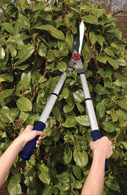 Spear & Jackson 8120RS Razorsharp Telescopic Hedge Shears